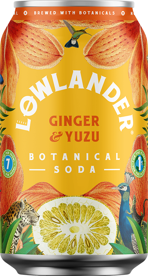 Ginger Yuzu Botanical Soda Cl Burk Brill